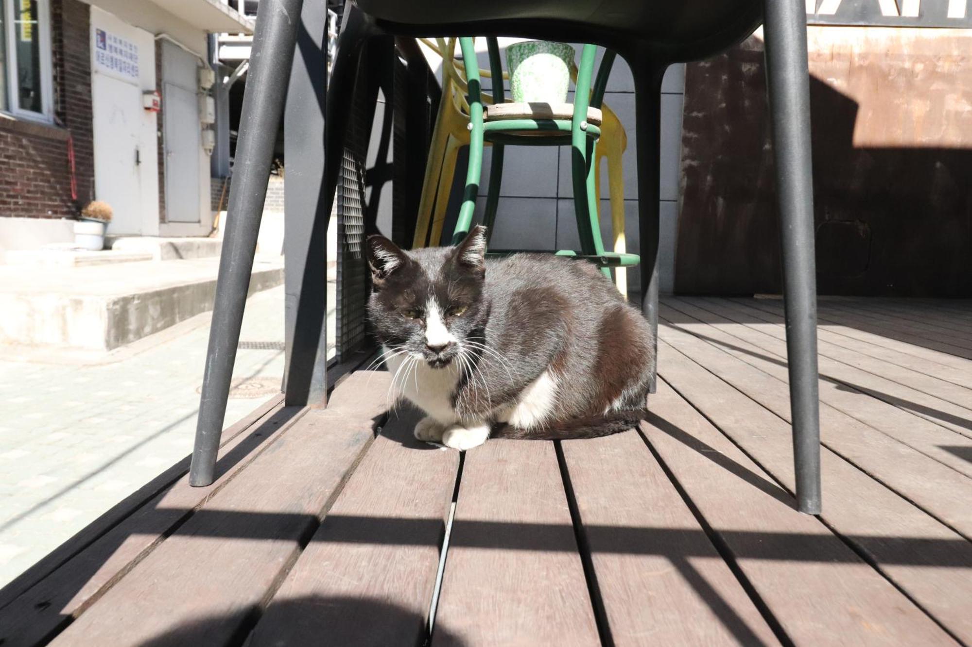 Hah Guesthouse Seoul Ngoại thất bức ảnh